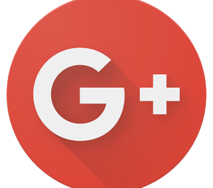 Google +1 “Google One”